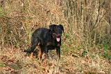 BEAUCERON 1040